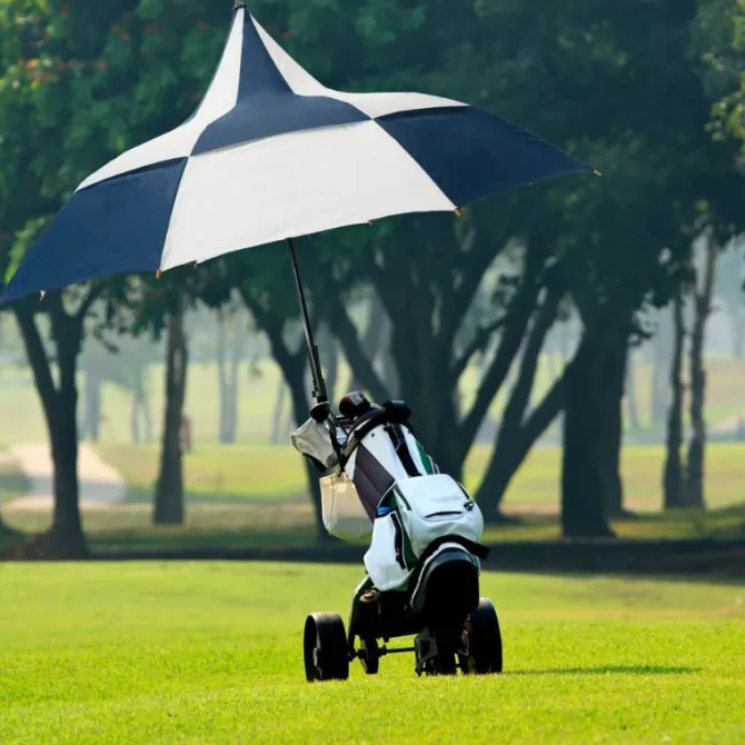 Big Top Blue and White Umbrella