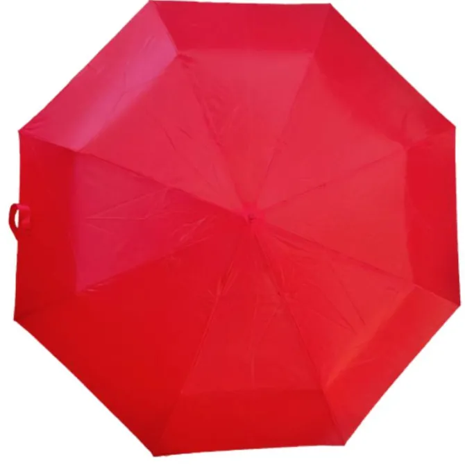 Budget Compact Umbrella