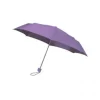 Colourbox Purple Compact Umbrella