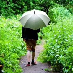 Green High Quality Walking Umbrella