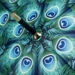 Peacock Design Umbrella