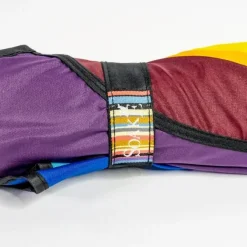 Rainbow Petal Swirl Umbrella